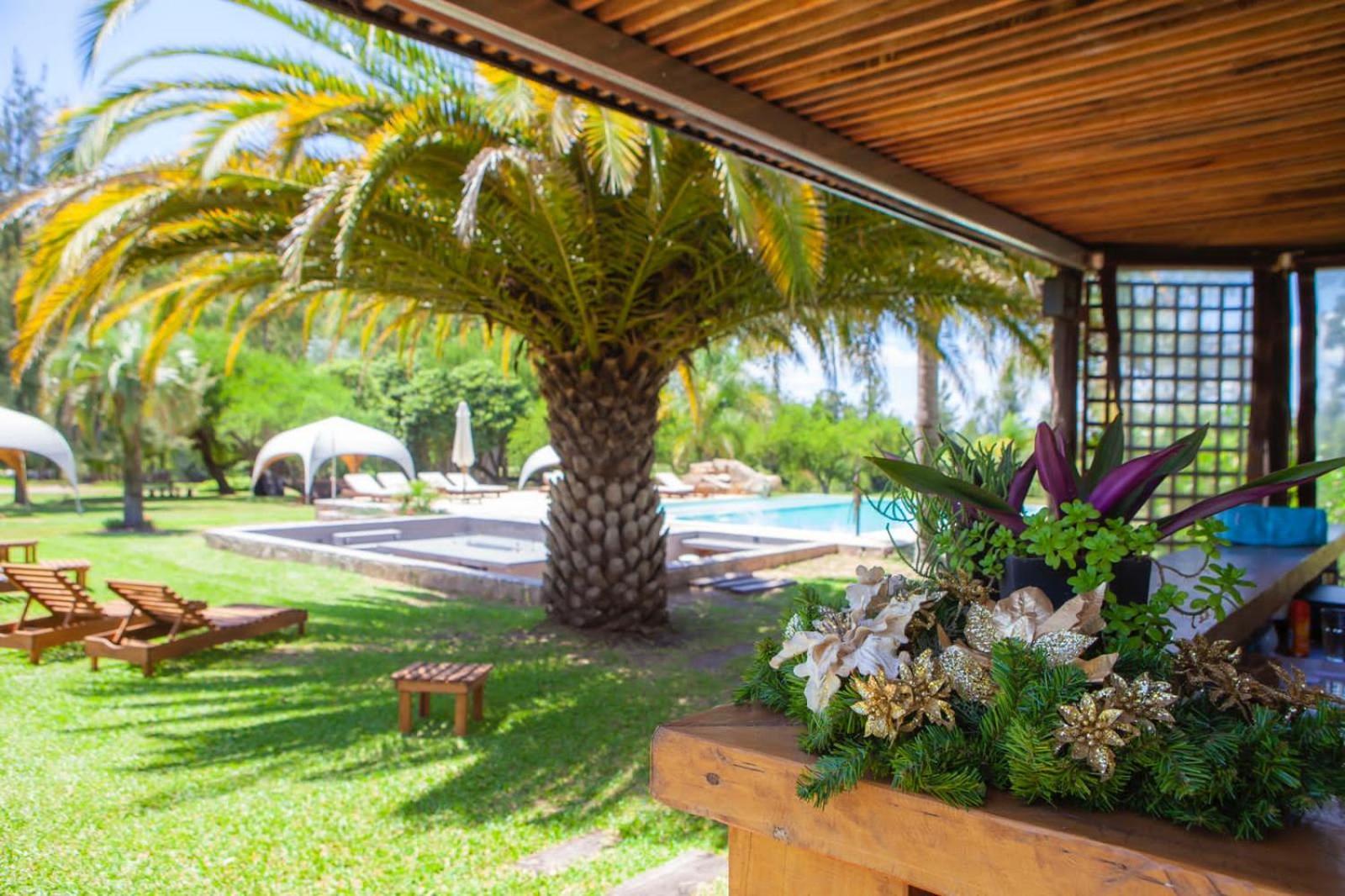 Hotel Noha 4*